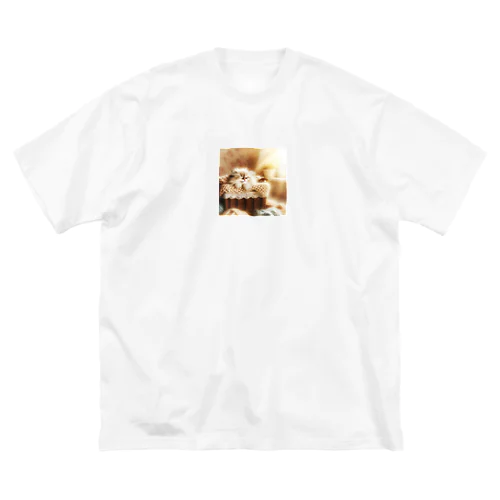 サニーバスケット・ドリーム Big T-Shirt