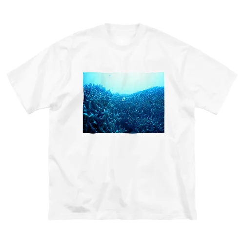 青い珊瑚礁 Big T-Shirt