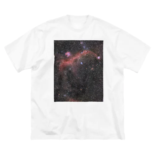 カモメ星雲 ビッグシルエットTシャツ