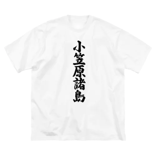 小笠原諸島  （地名） ビッグシルエットTシャツ