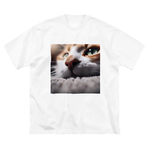 カーペットでごろんとする猫 ビッグシルエットTシャツ