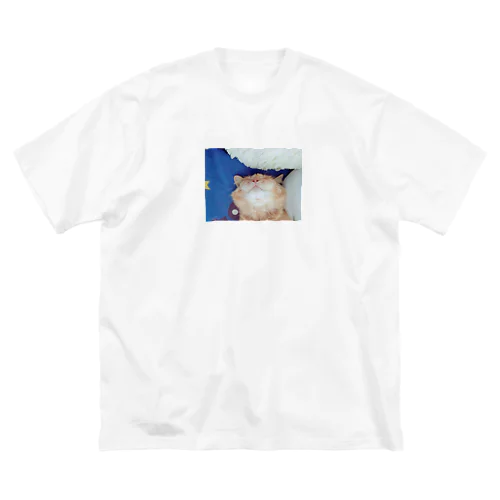 coco Big T-Shirt