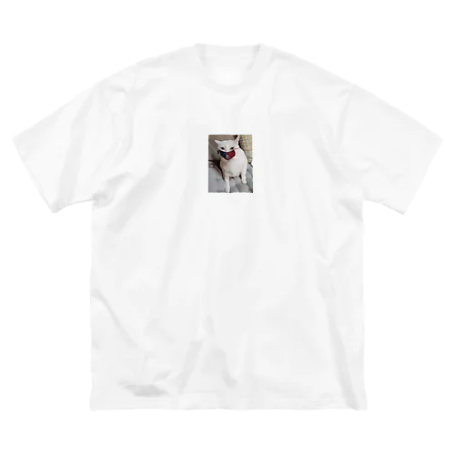 猫マスク Big T-Shirt