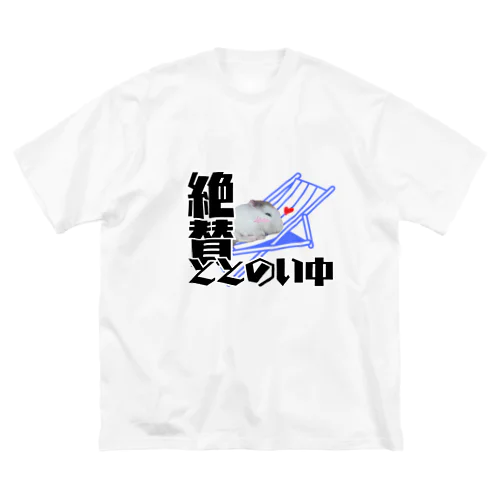 絶賛ととのい中ハムンズ ビッグシルエットTシャツ