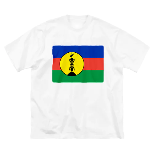 ニューカレドニアの国旗 ビッグシルエットTシャツ