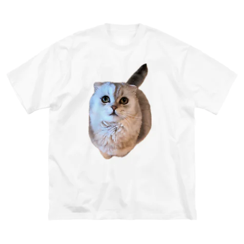 フクロウみたいな猫 Big T-Shirt