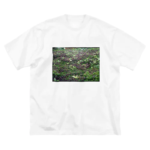 山 Big T-Shirt