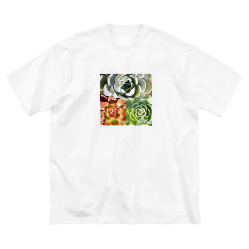 多肉植物3色 ビッグシルエットTシャツ