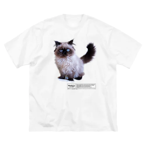 ヒマラヤン　猫　ばむせはシールポイント Big T-Shirt