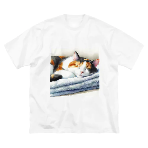 三毛猫のお昼寝 ビッグシルエットTシャツ