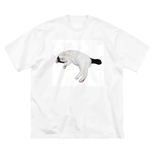 尻尾が短い保護猫 たぬちゃん Big T-Shirt