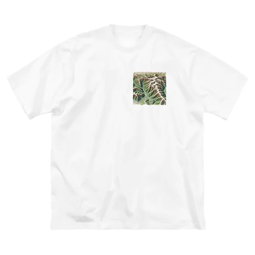 想像の地形図 ビッグシルエットTシャツ