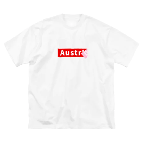 Austria ビッグシルエットTシャツ