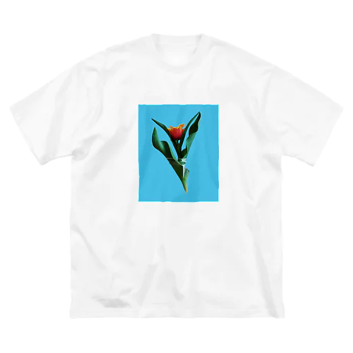 Tulipa cv. lambada Big T-Shirt