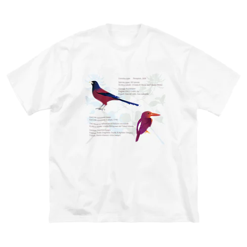 琉球の鮮やかな鳥たち ビッグシルエットTシャツ