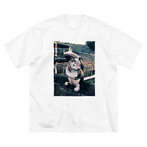 リス_公園 ビッグシルエットTシャツ