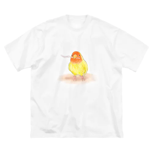 コザクラインコ　レイ【まめるりはことり】 ビッグシルエットTシャツ