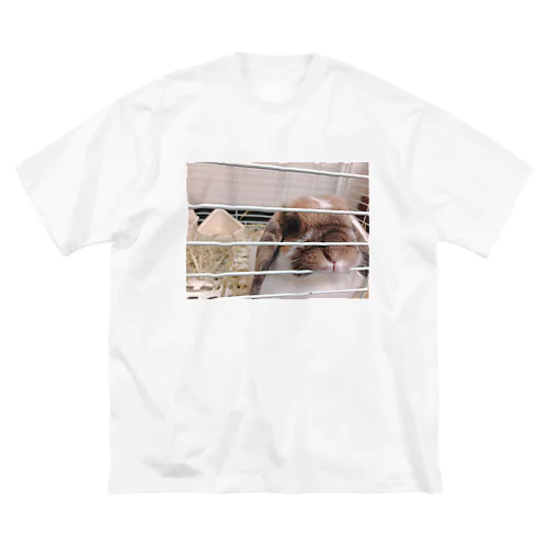 ω Big T-Shirt