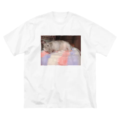 😴 ビッグシルエットTシャツ