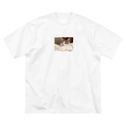 あられちゃんこっちむいて ビッグシルエットTシャツ