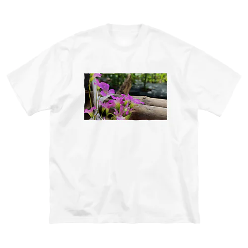 庭の紫片喰 Big T-Shirt