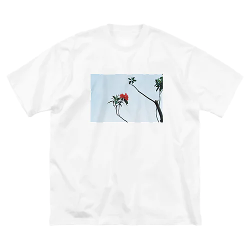 空と花（ツツジ） ビッグシルエットTシャツ