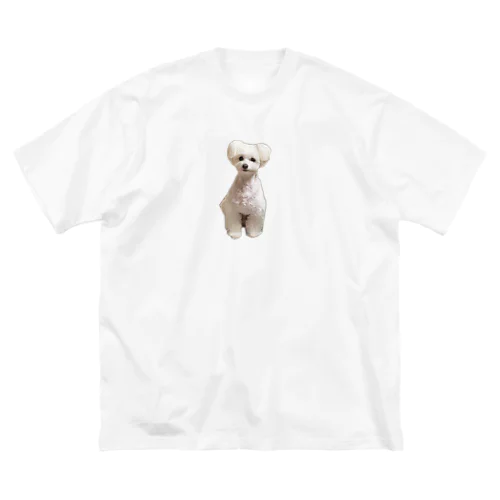 ロイ ビッグシルエットTシャツ