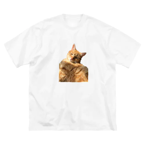 お昼寝茶トラ猫 ビッグシルエットTシャツ