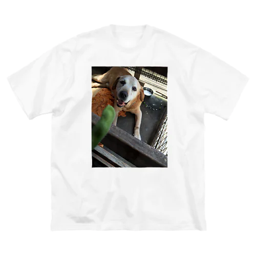 枝豆に興奮する犬 Big T-Shirt