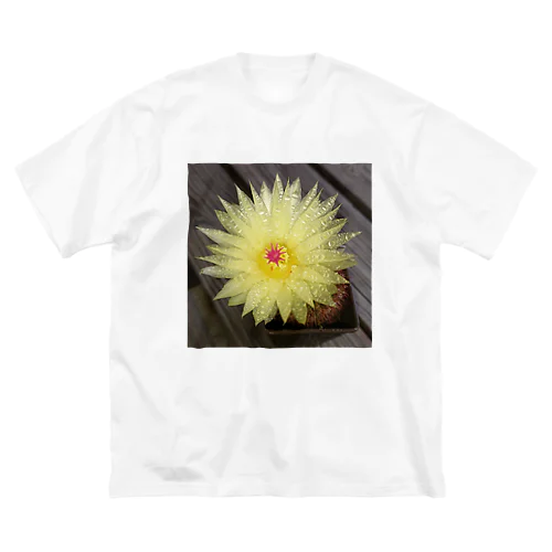 サボテンの花 ビッグシルエットTシャツ