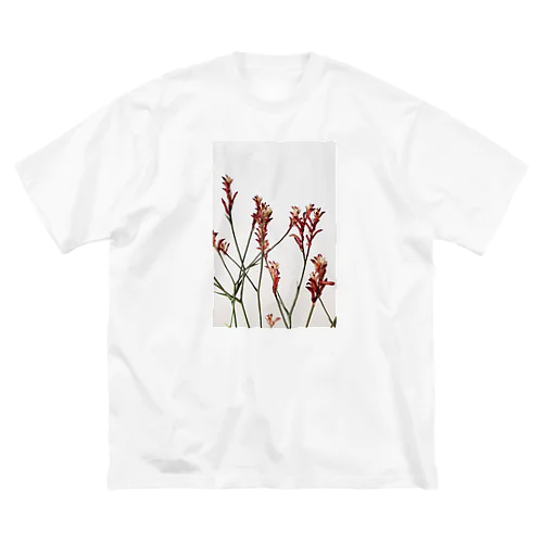 kanaroo paw Big T-Shirt