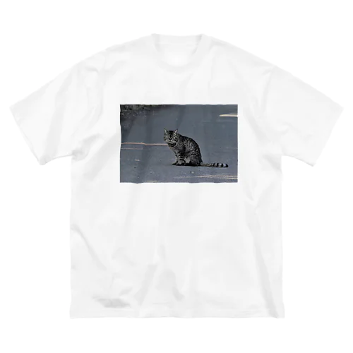 渋みのある猫 Big T-Shirt