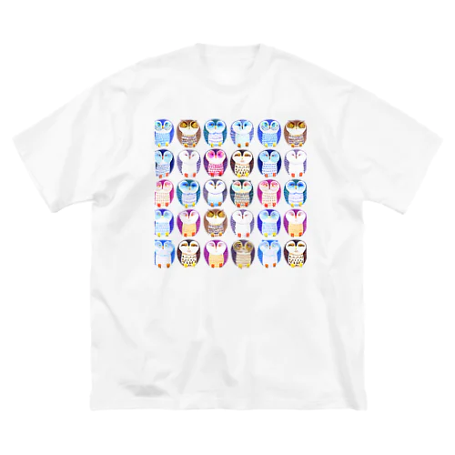 colorful owl Big T-Shirt