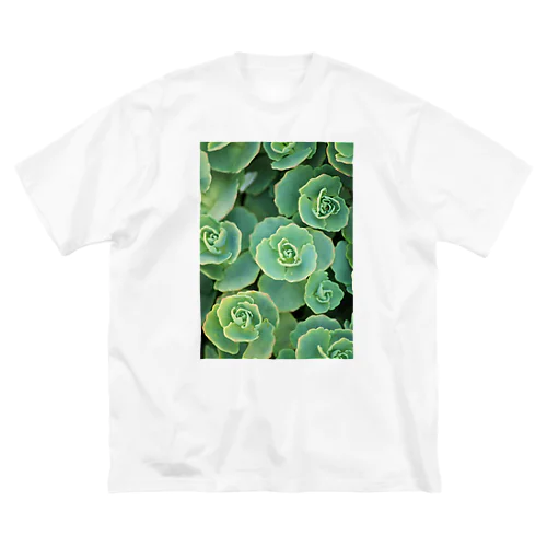 多肉植物 ビッグシルエットTシャツ