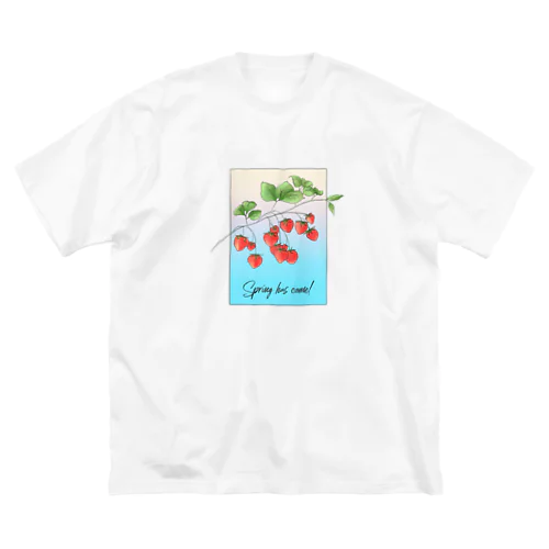 springTシャツ ビッグシルエットTシャツ