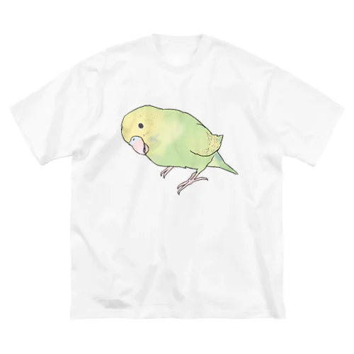 首傾げ　スパングルセキセイインコちゃん【まめるりはことり】 ビッグシルエットTシャツ