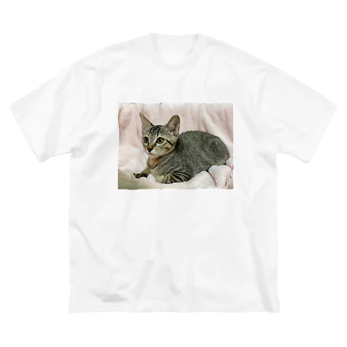キジトラ(*ΦωΦ)leeﾘｰ Big T-Shirt