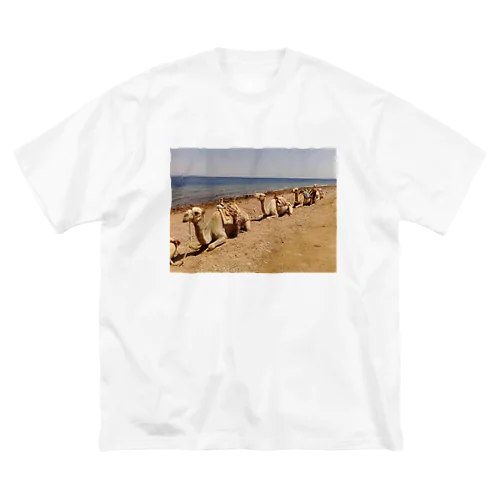 Camel Arrangements ビッグシルエットTシャツ