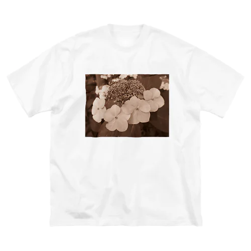 時が過ぎるころ Big T-Shirt