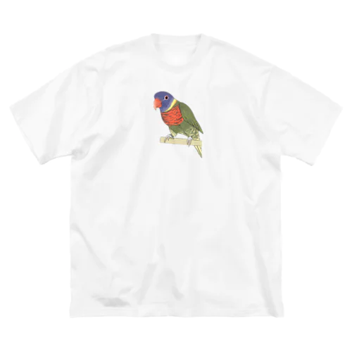 色合いが綺麗なゴシキセイガイインコちゃん【まめるりはことり】 Big T-Shirt