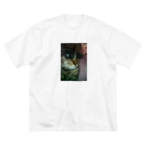 グラサン猫ハッチ ビッグシルエットTシャツ