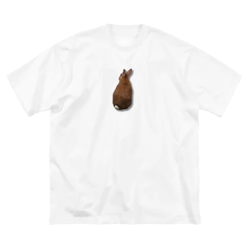 メロン3.jpg Big T-Shirt