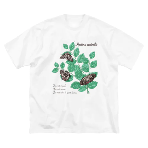 アカボシゴマダラとエノキ Big T-Shirt