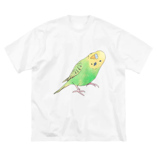 首傾げセキセイインコ　ピーちゃん【まめるりはことり】 ビッグシルエットTシャツ