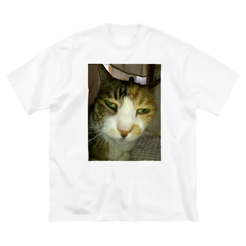 寝ぼけ猫 ビッグシルエットTシャツ