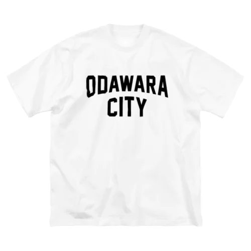 小田原市 ODAWARA CITY ビッグシルエットTシャツ