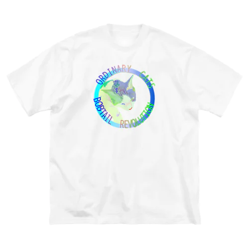 Ordinary Cats07h.t.(冬) ビッグシルエットTシャツ