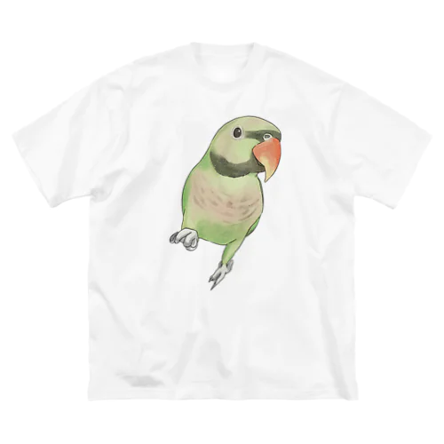 ご機嫌なダルマインコちゃん【まめるりはことり】 ビッグシルエットTシャツ