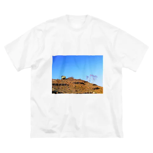 WABISABI山 Big T-Shirt