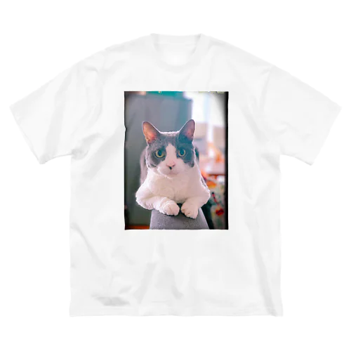 猫毛団のぽんちゃん ビッグシルエットTシャツ